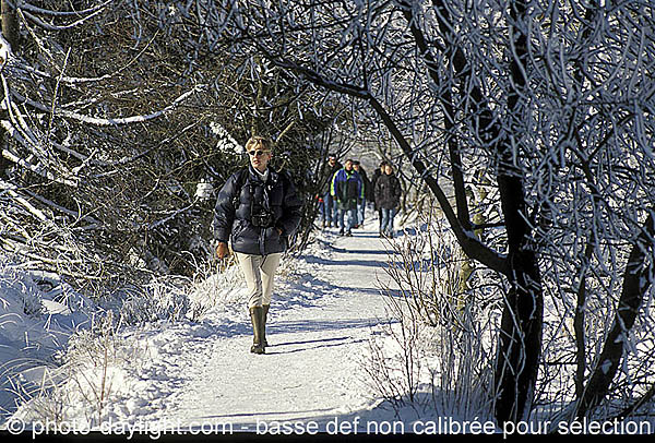 les Hautes Fagnes